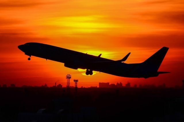 Wizz Air and Turkish Airlines - Georgian aviation market leaders